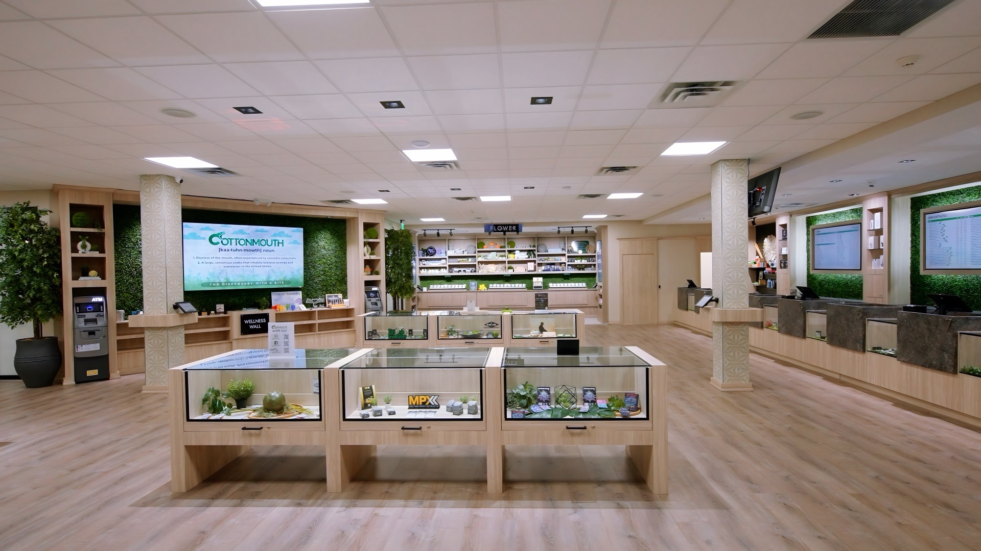 Cottonmouth Dispensary central sales floor welcoming first-time customers